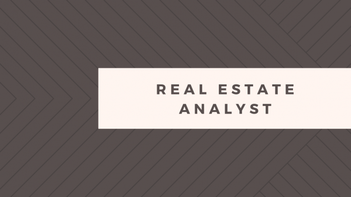 REAL ESTATE ANALYST